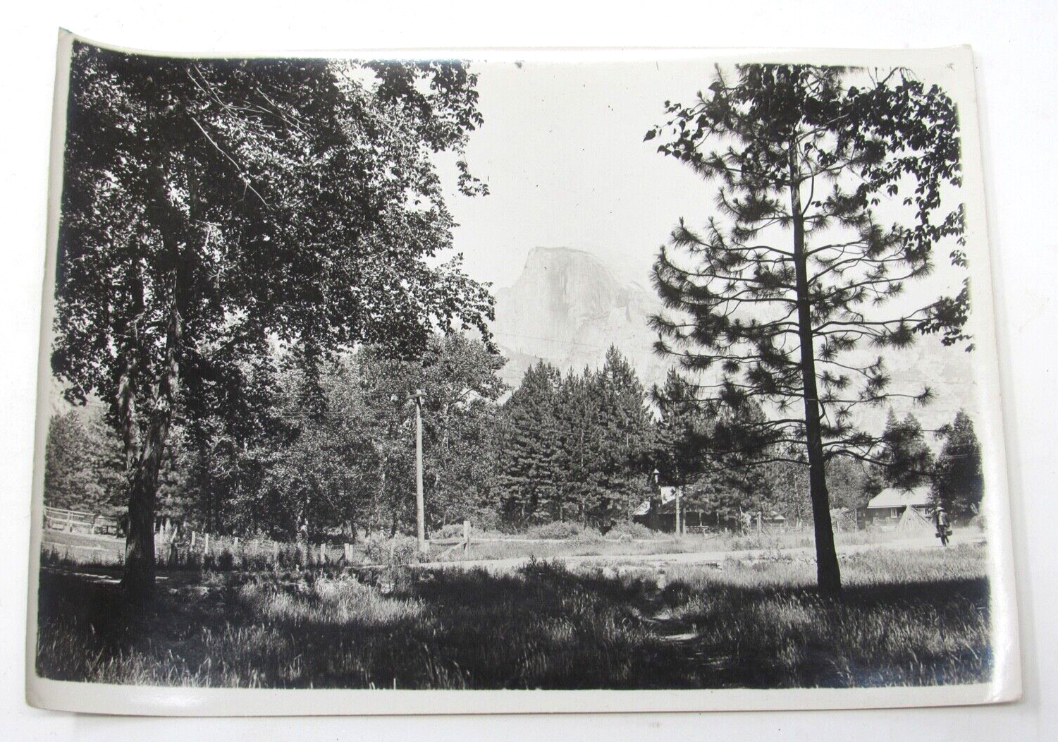 c1900s Yosemite National Park Photograph Half Dome Cabins Oak Trees Pines ORIG