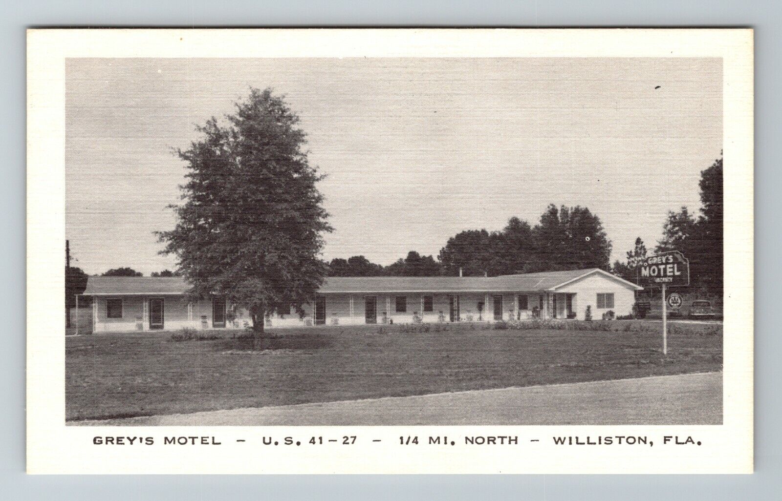 Williston FL-Florida, Grey's Motel US Highway 27 & 41, c1950 Vintage Postcard