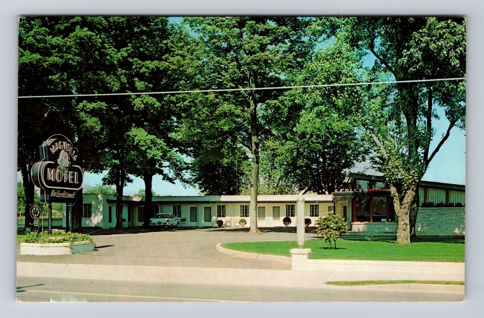 Shelbyville TN- Tennessee, Magnolia Motel, Advertisement, Vintage Postcard