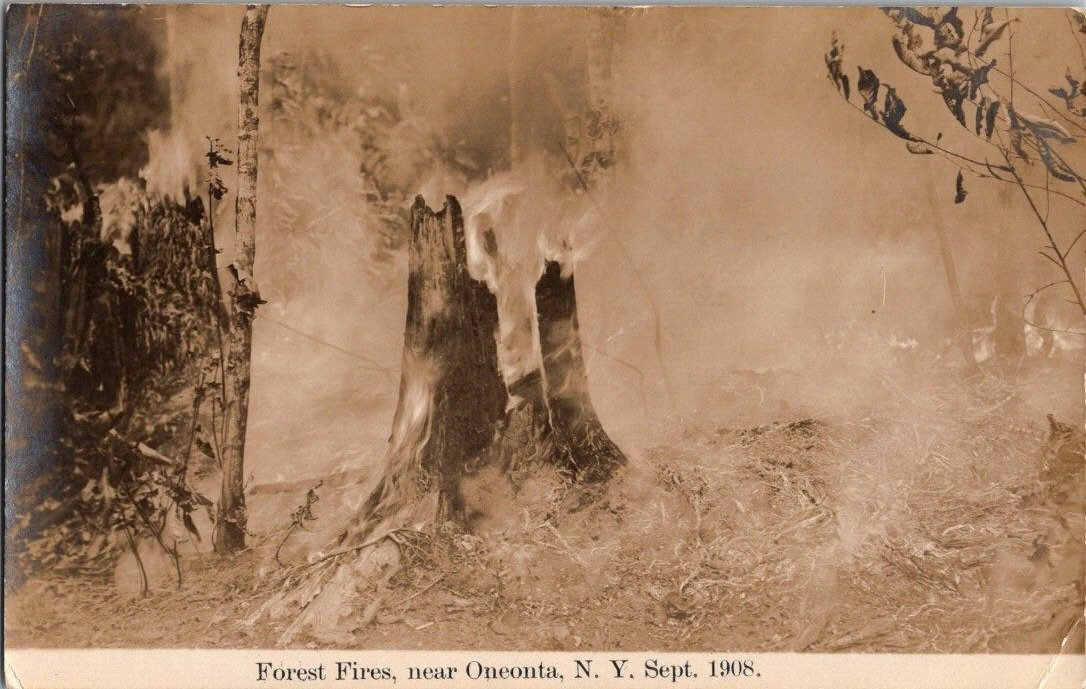 Oneonta NY Forest fires 1908 disaster Rppc postcard a43