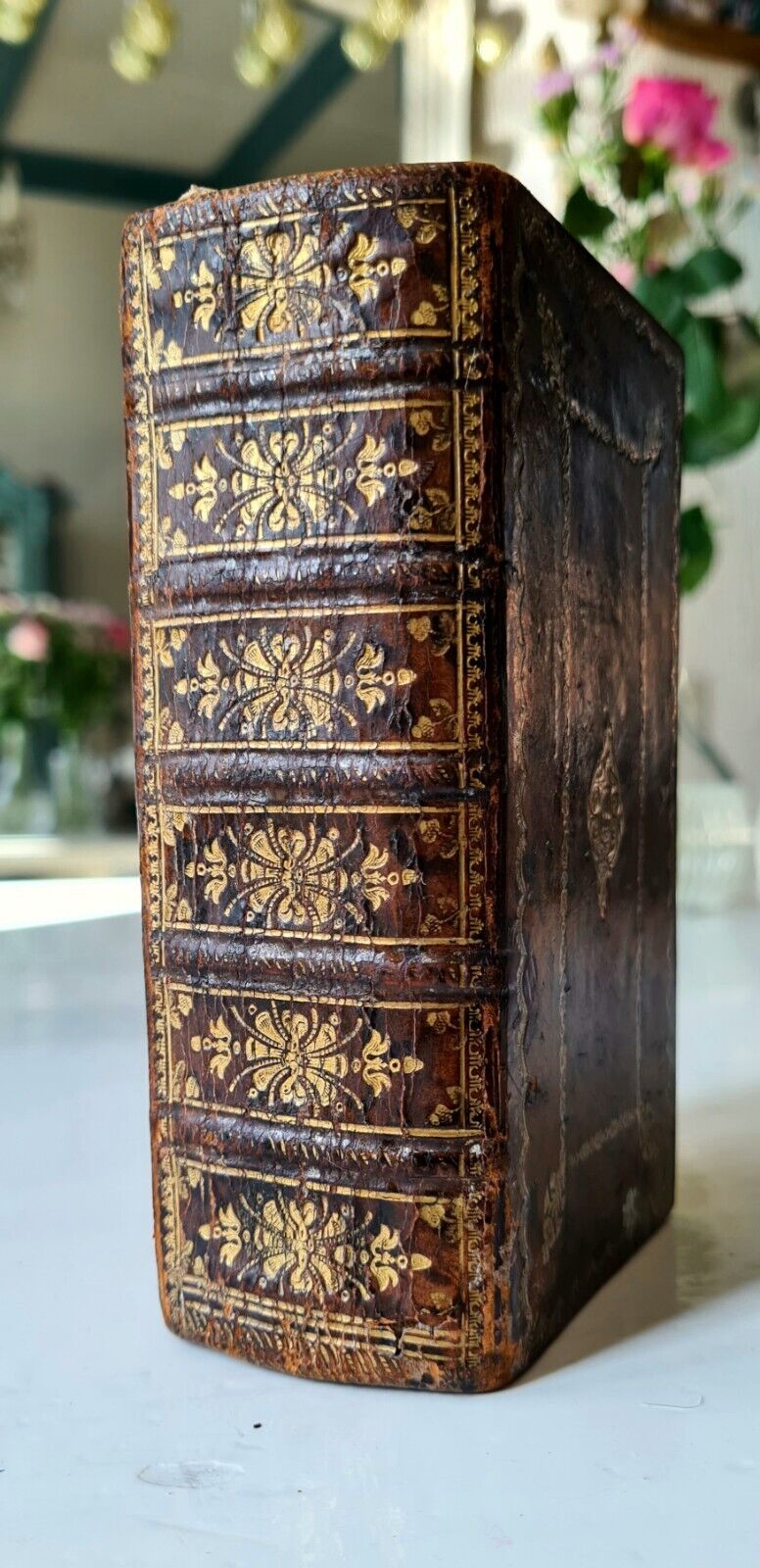 Old & rare French Bible, 18th century in beautiful gold-stamped binding