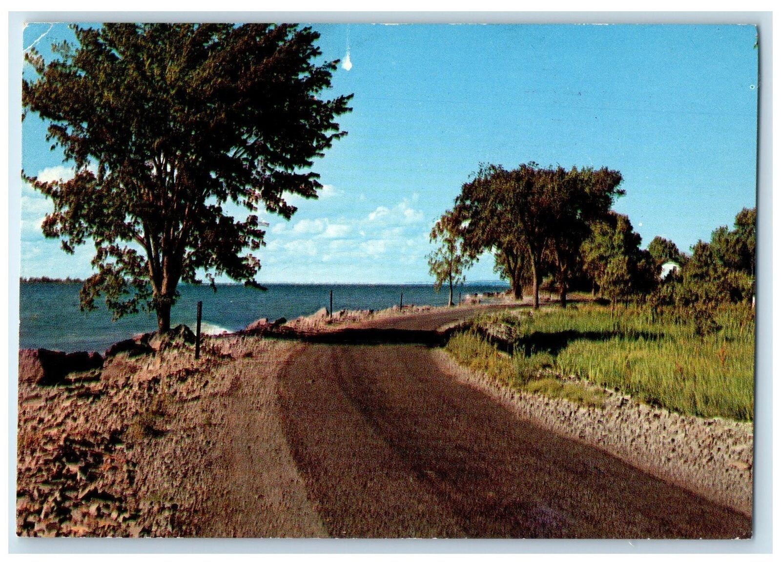 c1960's Greetings From Shakamak State Park Jasonville Indiana IN Trees Postcard