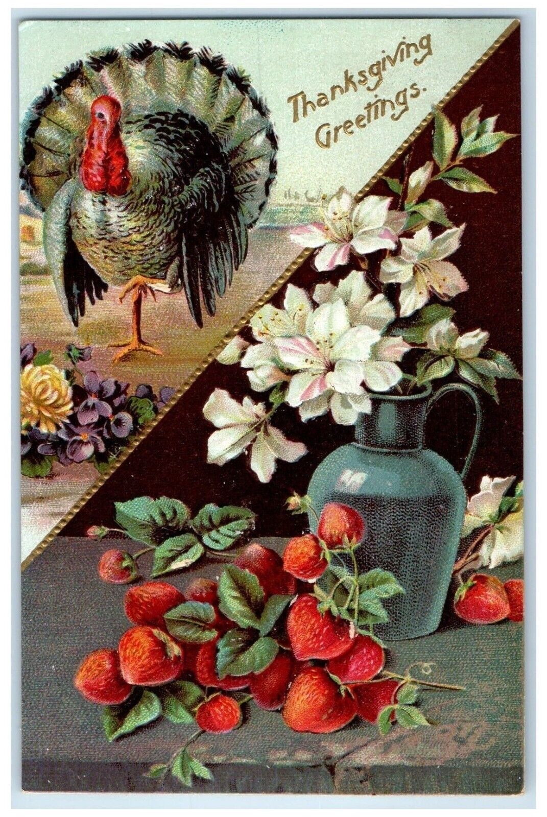 c1910's Thanksgiving Greetings Turkey Strawberry Flowers Embossed Postcard