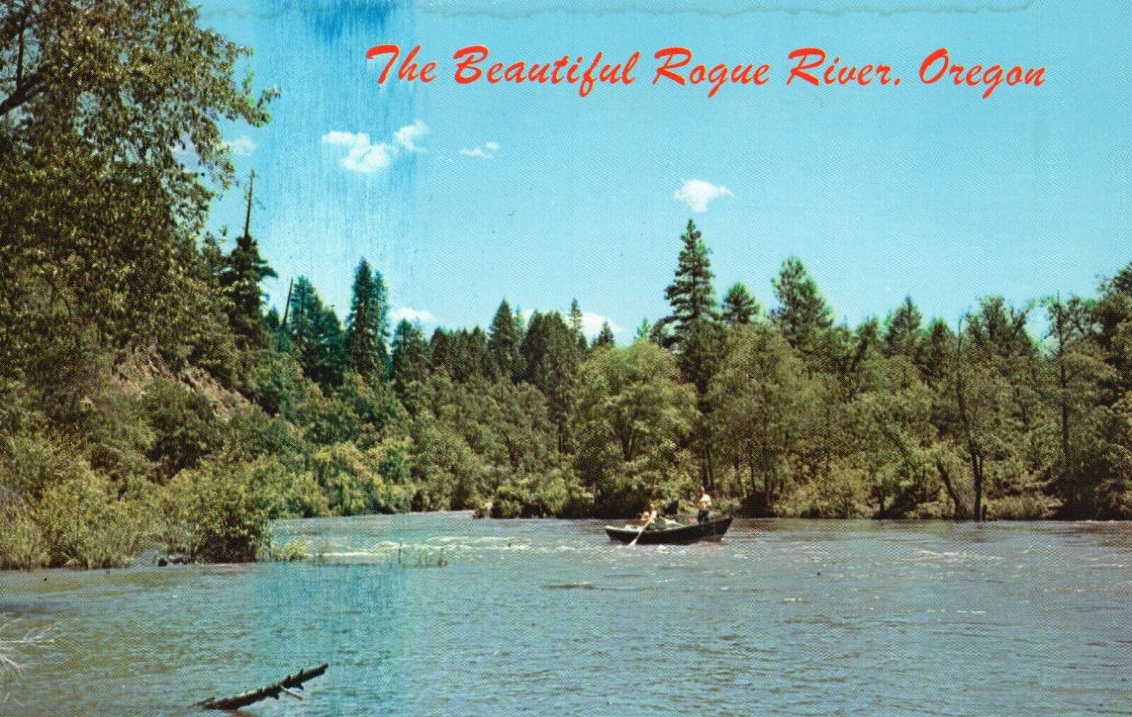 Postcard OR Beautiful Rogue River Fishing Oregon Chrome Vintage PC J1284