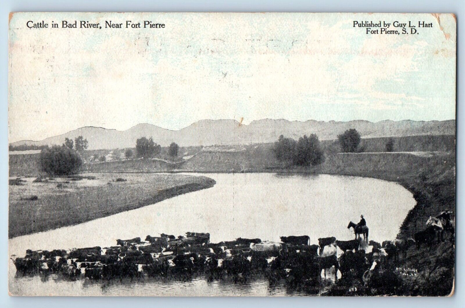 Fort Pierre South Dakota Postcard Cattle Bad River Exterior 1910 Vintage Antique