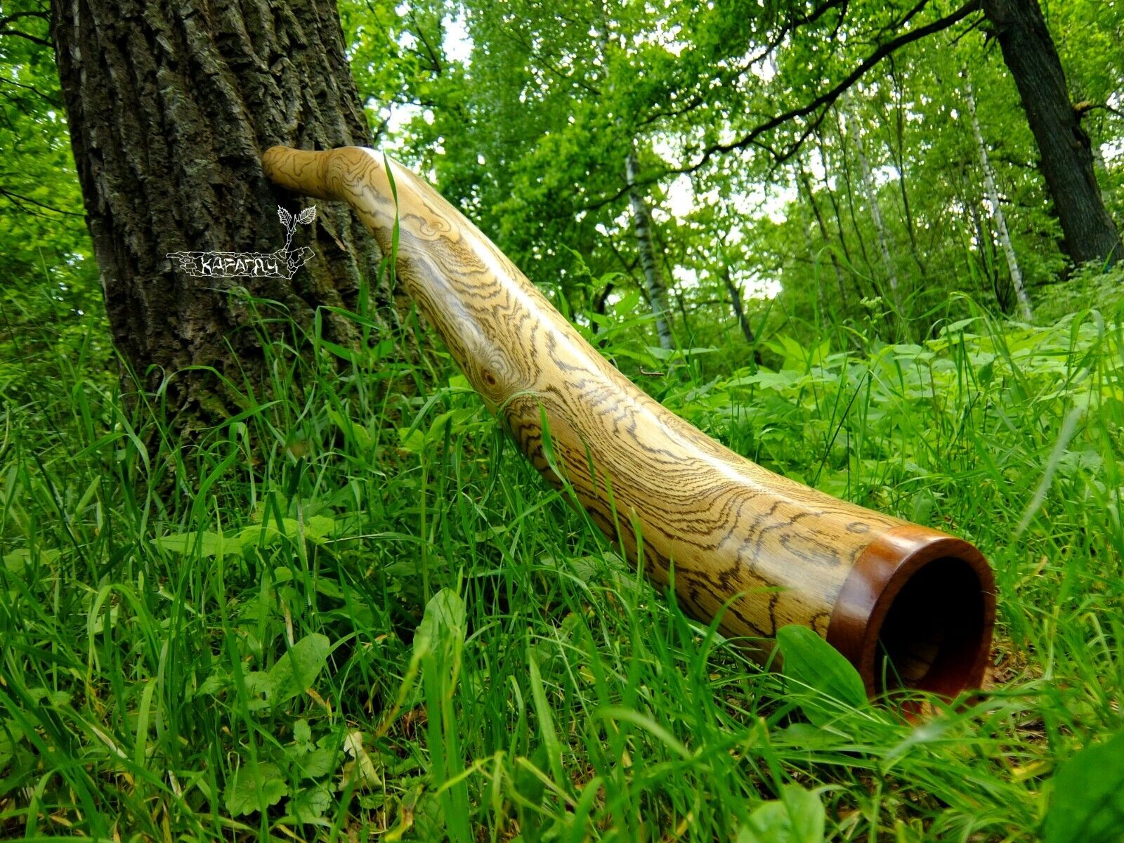 Wooden Didgeridoo Mago key оf F (Oak tree) by Karagachwood