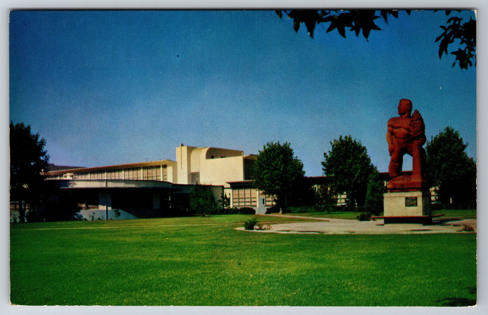 Vintage Postcard CA Visalia Sequoias College -5389