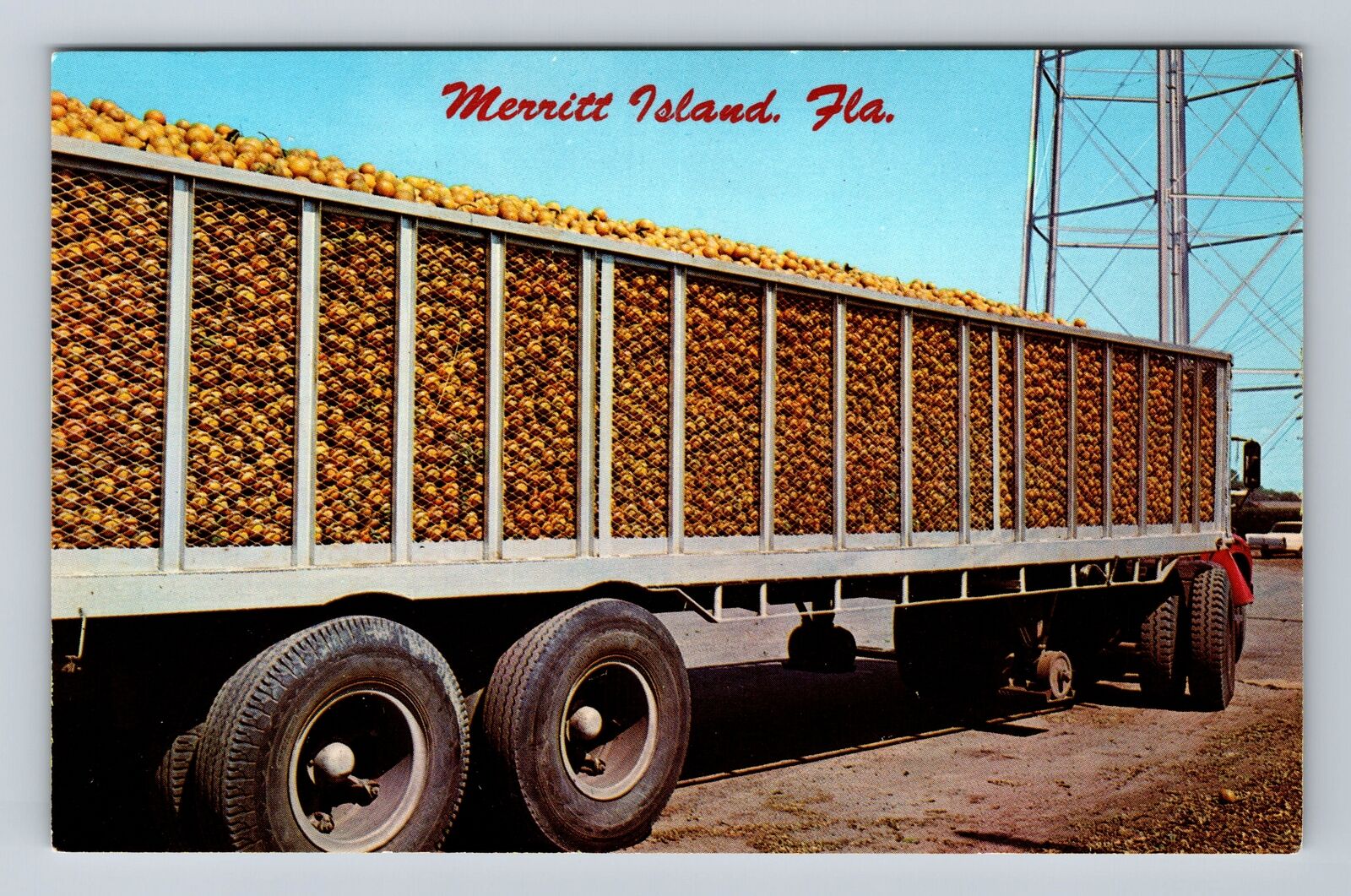 Merritt Island FL-Florida, Truck Of Fruit, Antique, Vintage Postcard