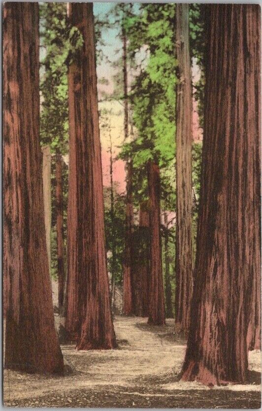 Piercy, California Postcard \