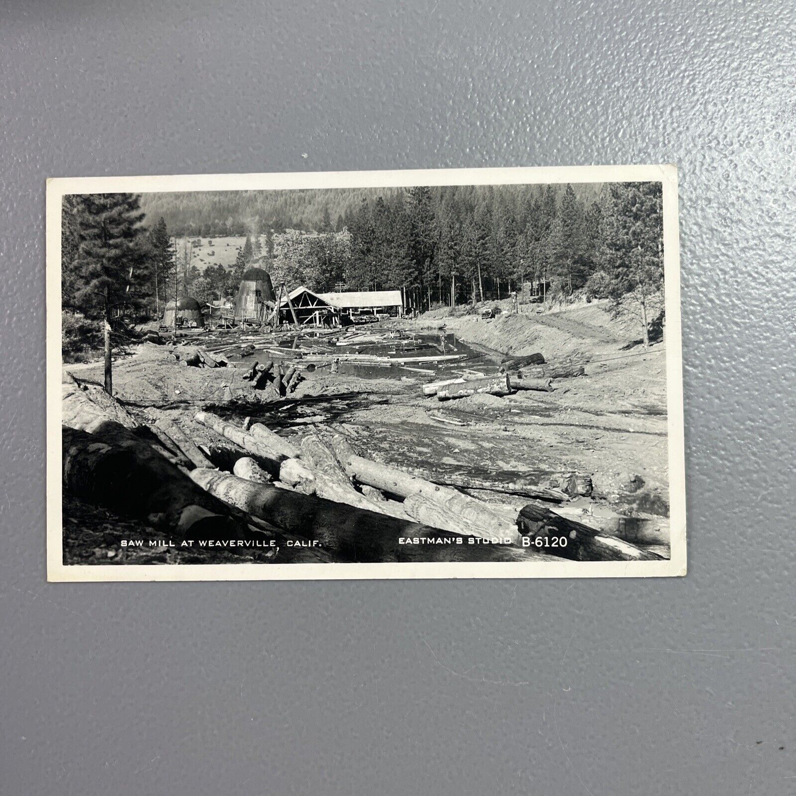 c1950 Tree Timber Wood Saw Mill Weaverville California RPPC CA Real Photo