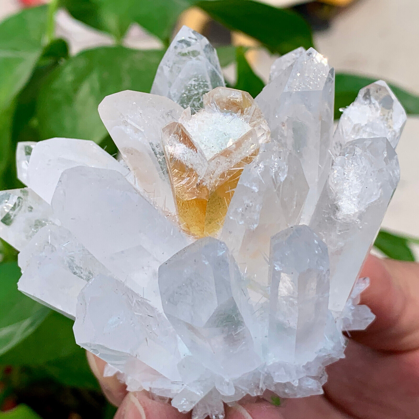 269G New Find white+yellow Phantom Quartz Crystal Cluster MineralSpecimenHealing