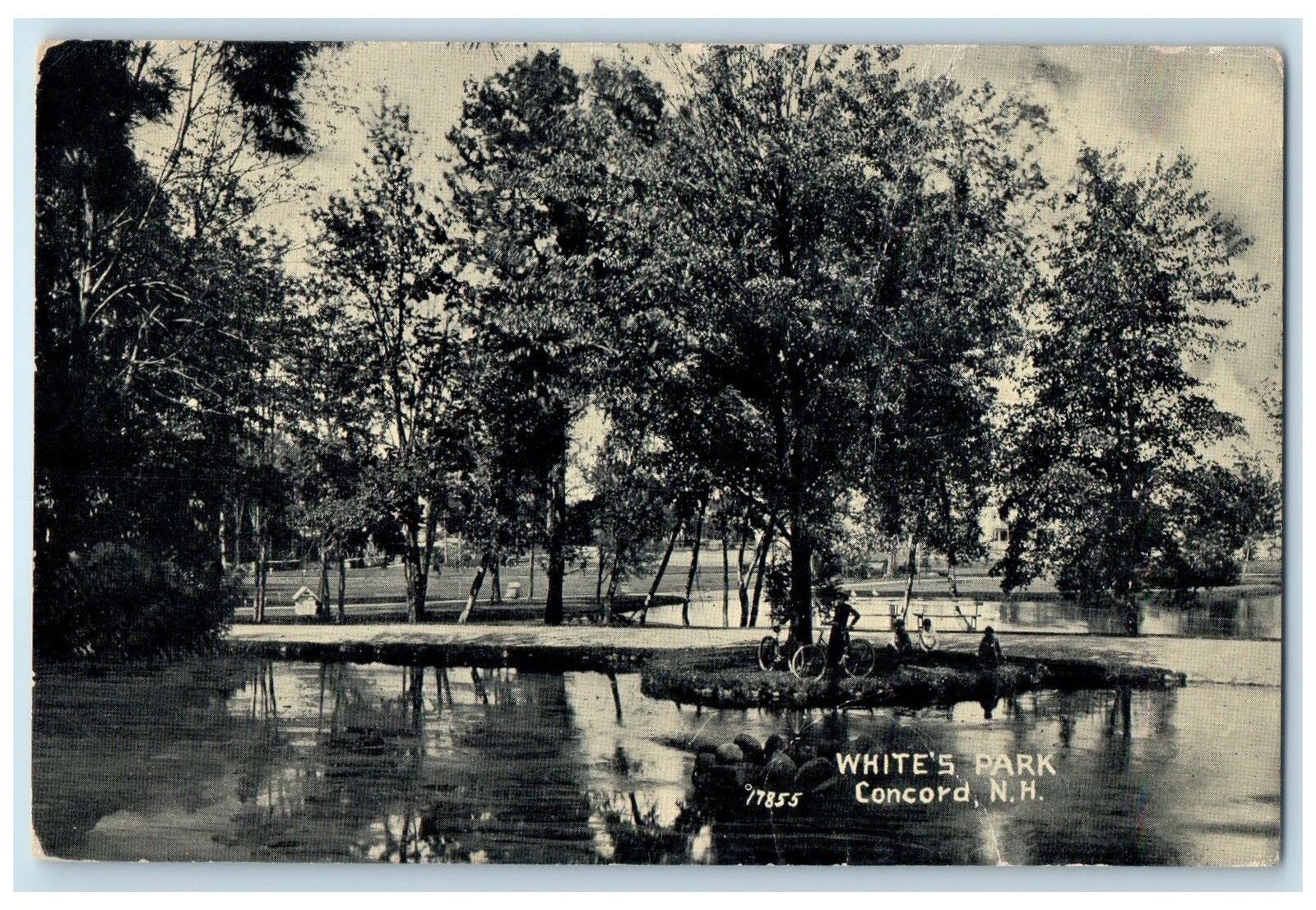 c1910's White's Park Scene Concord New Hampshire NH Unposted Trees Postcard