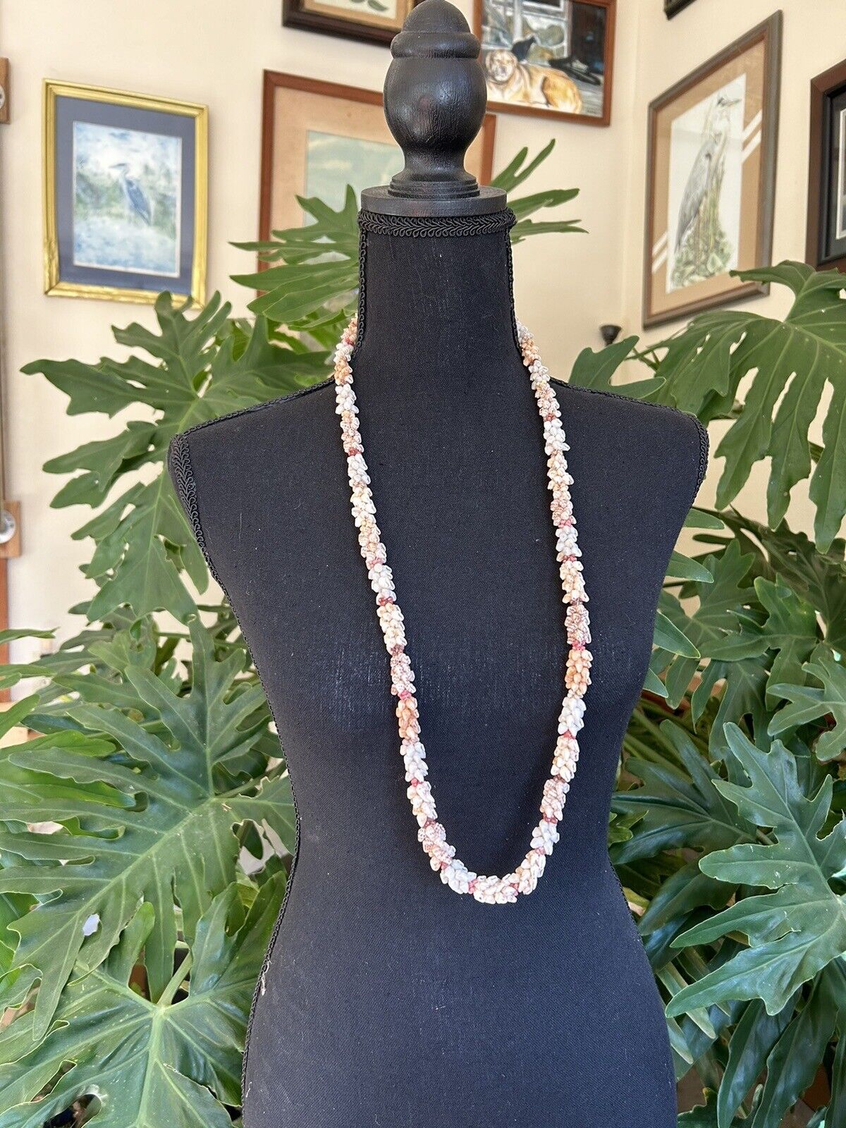 Rare and Collectable Niihau Shell Lei,  in the coconut or  \
