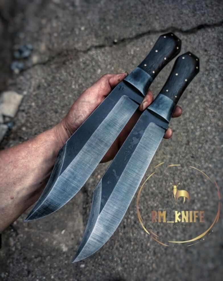 Bowie Knife ( Rare find )
