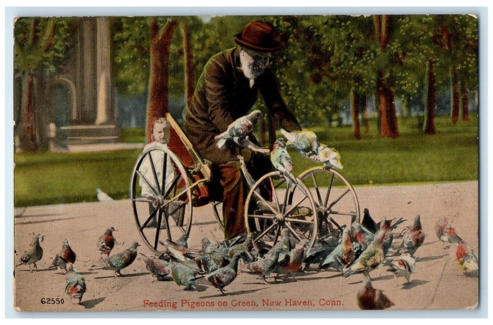 1913 Old Man Feeding Pigeons On Green New Haven Connecticut CT Antique Postcard
