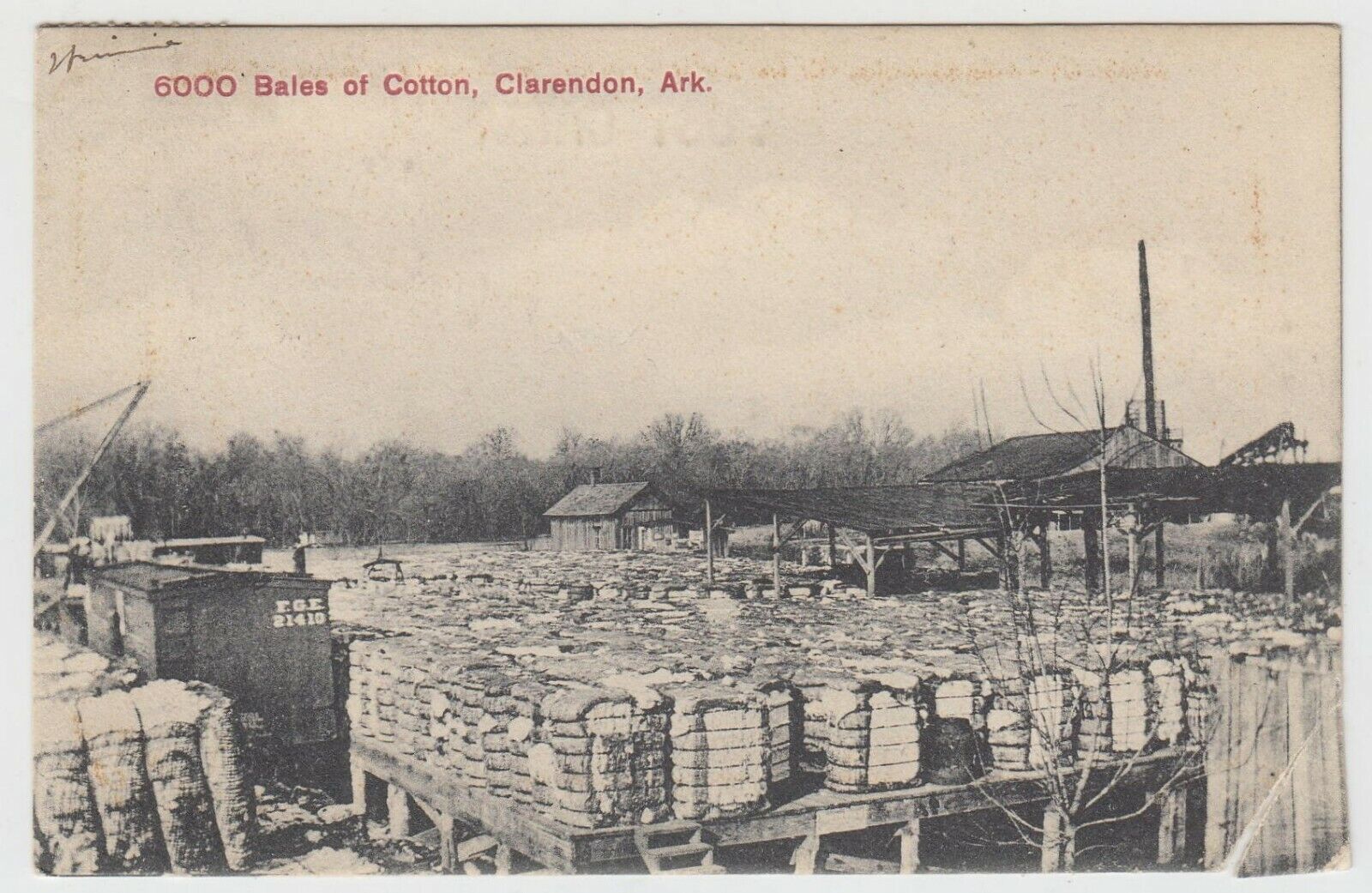 Clarendon Arkansas 1911 Postcard 6000 Bales of Cotton