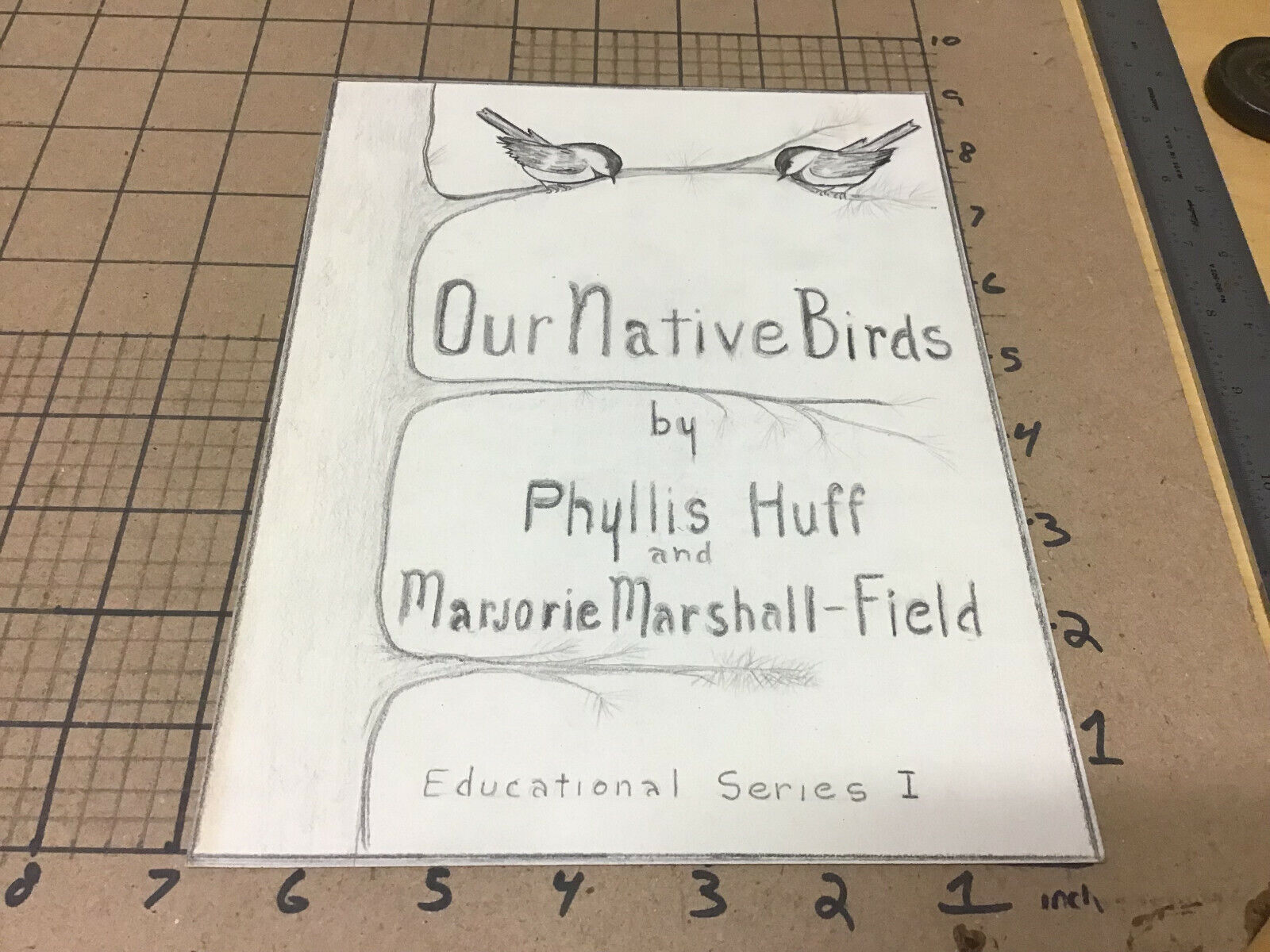 Original 1950's Art: OUR NATIVE BIRDS by Phyllis Huff ed series I (record)