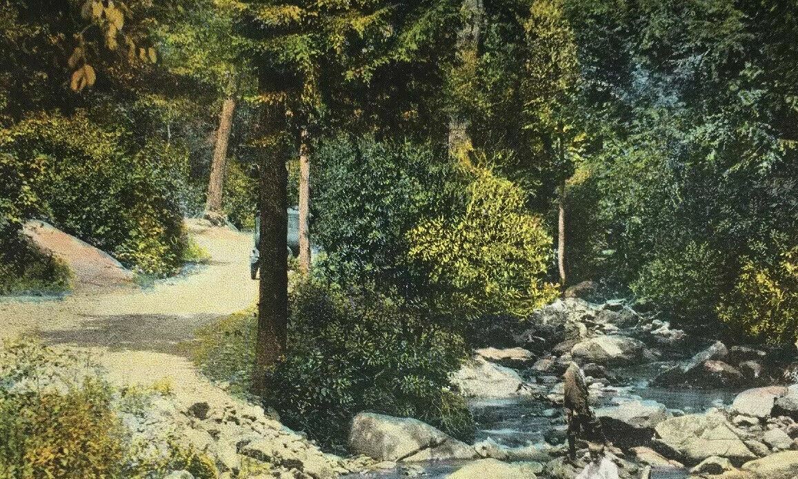 Early Montreat NC Postcard Nature Creek River Car North Carolina