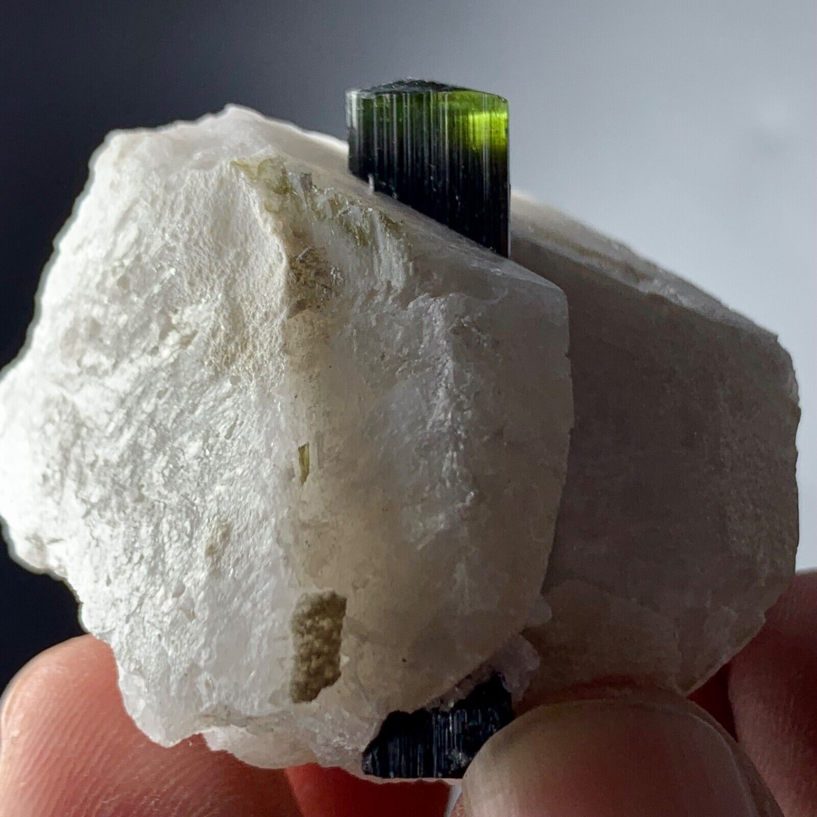 245 Cts Green cap Tourmaline Crystal with feldspars From Pakistan