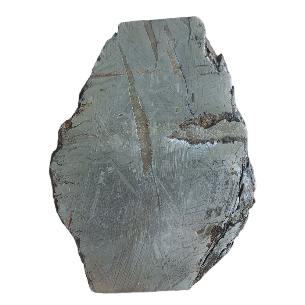 366g Muonionalusta meteorite slice CC11