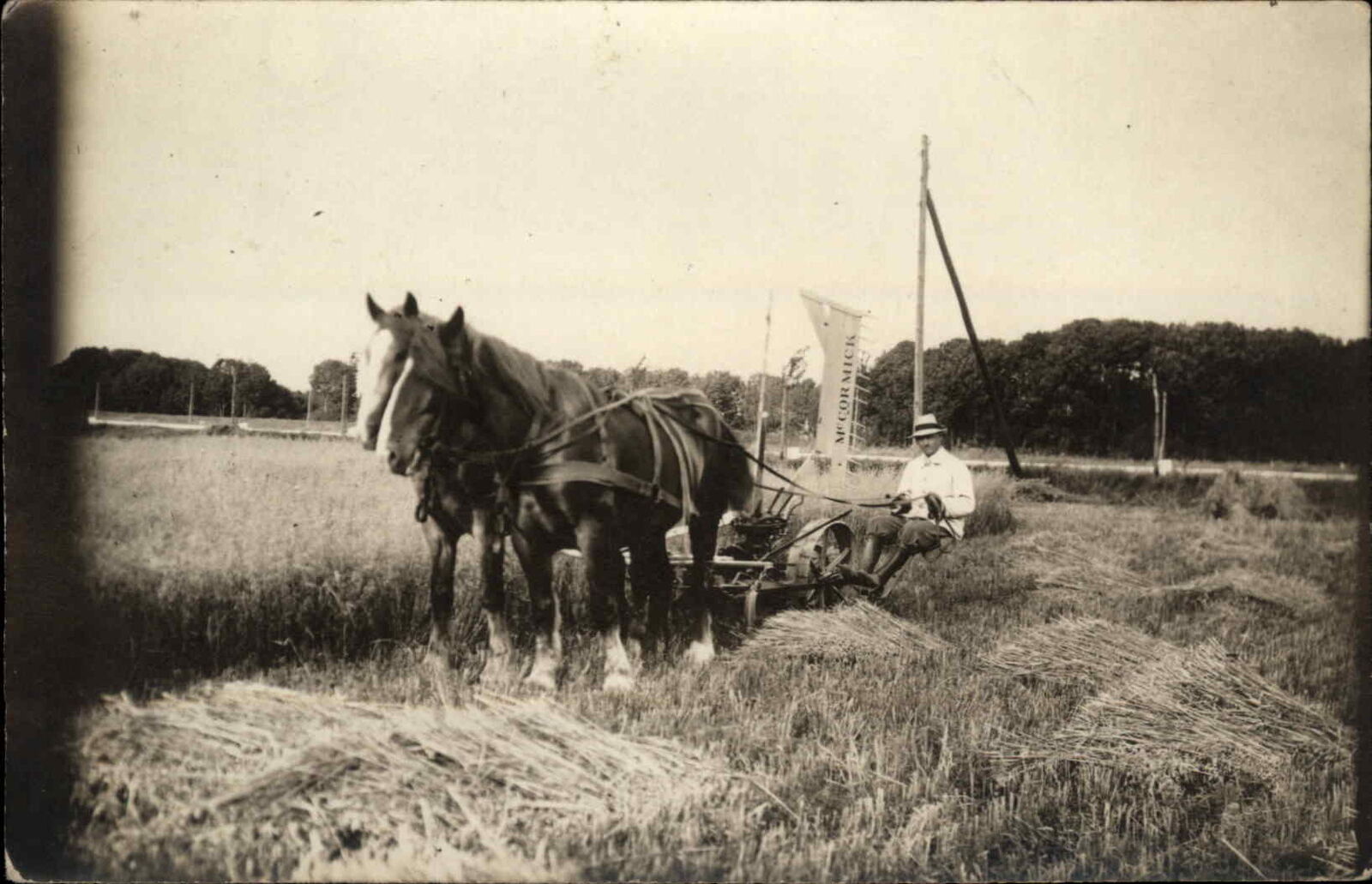 Horse Plowing Farming McCormick Machinery c1920s Real Photo Postcard