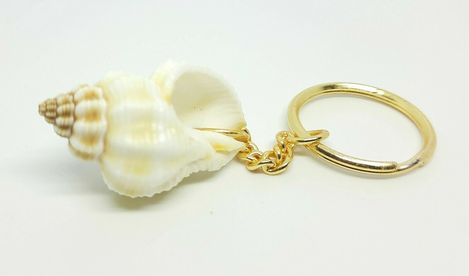 Original Sea Shell Key Ring Sea Shell 100% Natural