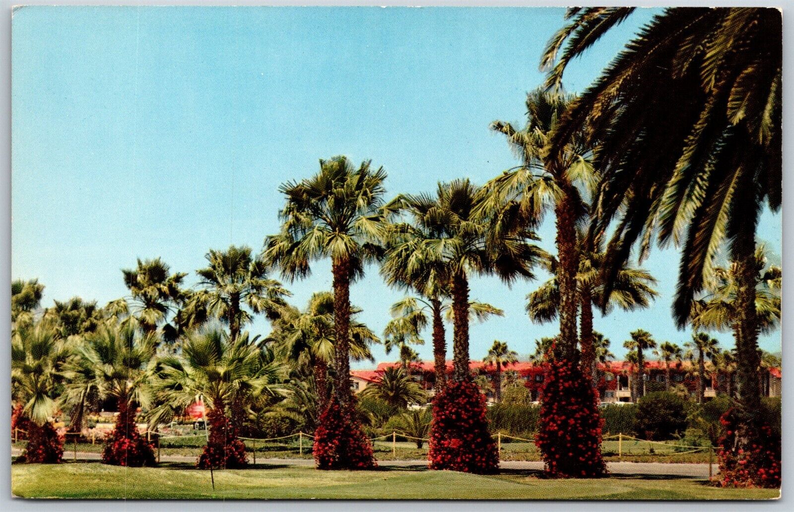Vtg La Jolla San Diego California CA Beach & Tennis Club Palm Trees Postcard