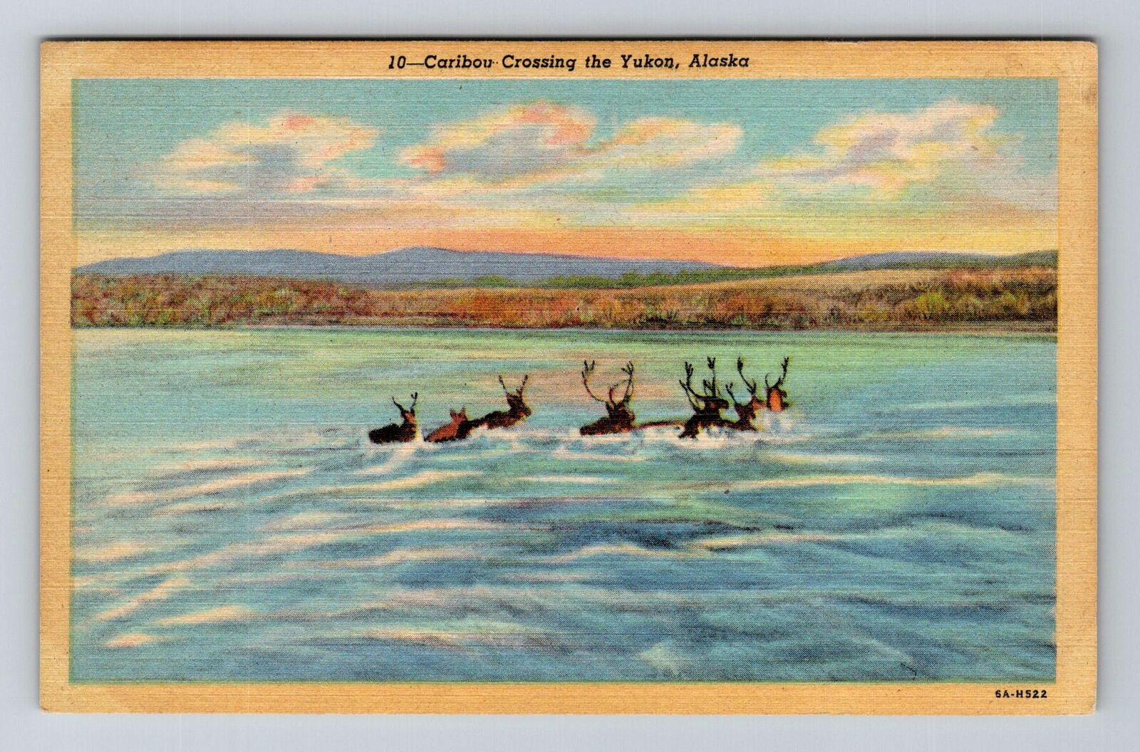 Yukon AK-Alaska, Caribou Crossing the Yukon, Vintage Postcard