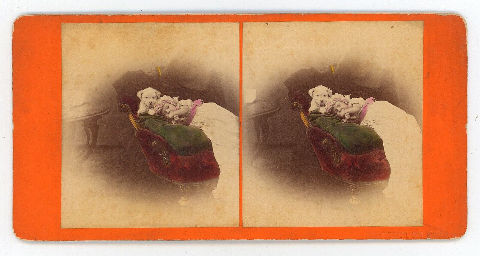 c1900\'s Hand Tinted RARE Stereoview Adorable Baby Girl on Chair With Puppy, NY