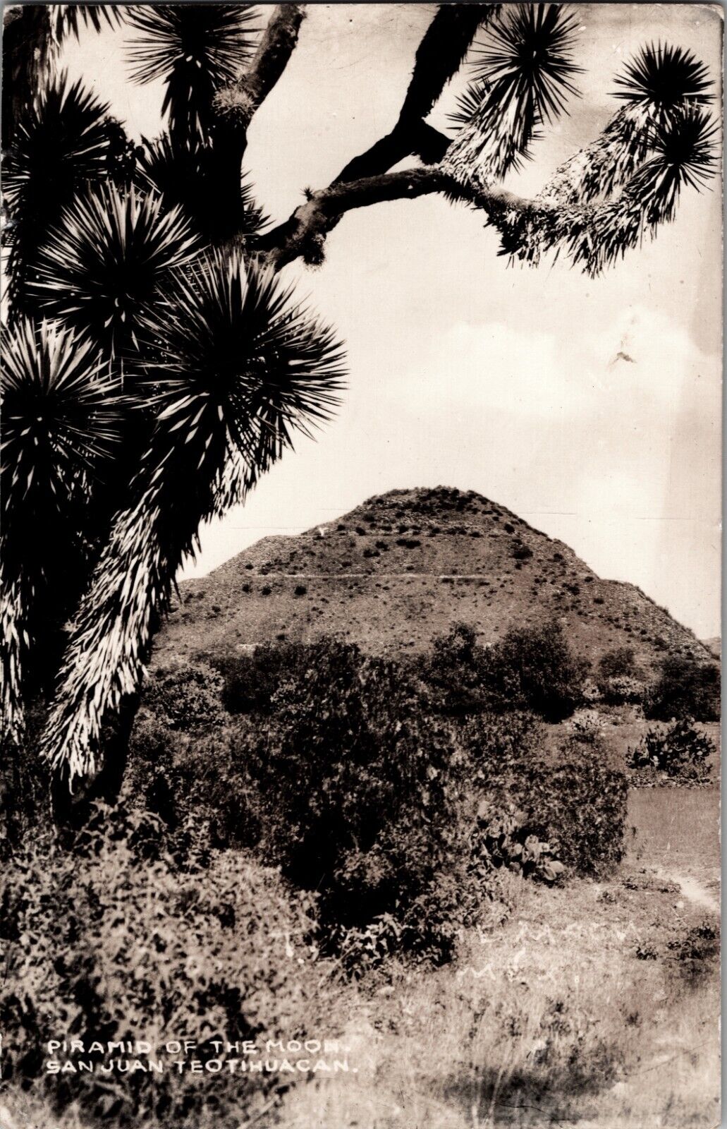 Real Photo Postcard Pyramid of the Moon Mexico c1910