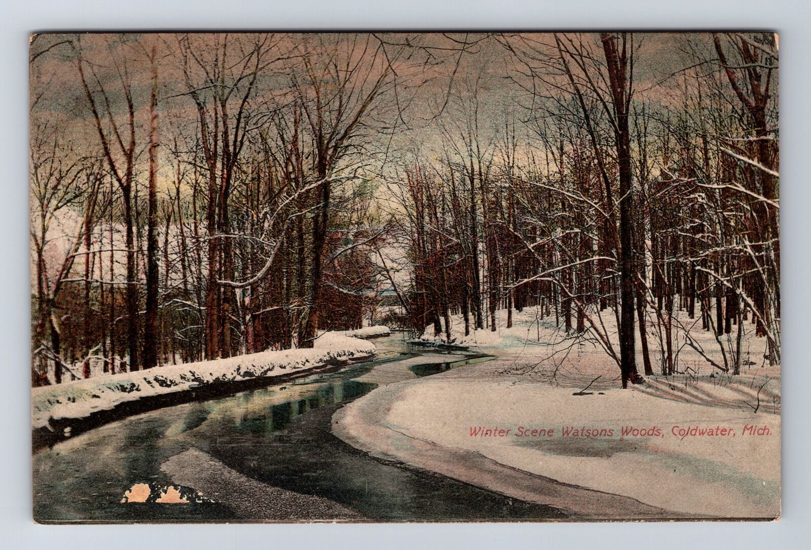 Coldwater MI-Michigan, Winter Scene Watsons Woods, Vintage c1913 Postcard