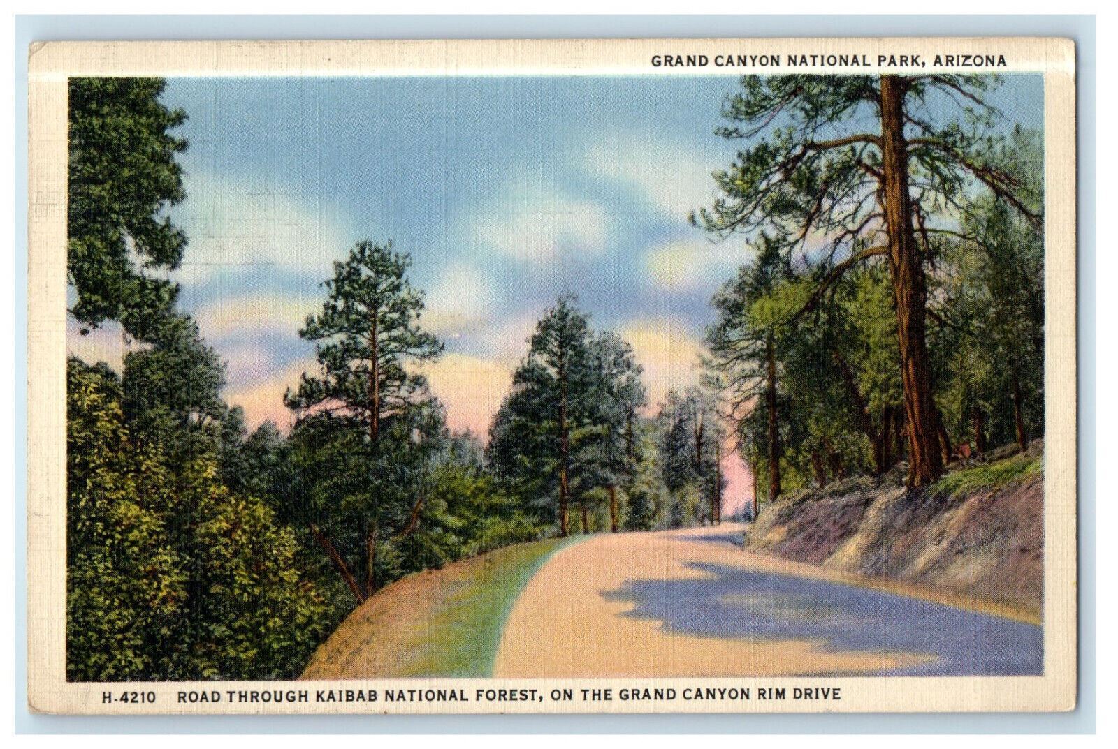 1939 Road Scene, Grand Canyon National Park AZ Fred Harvey RPO Postcard