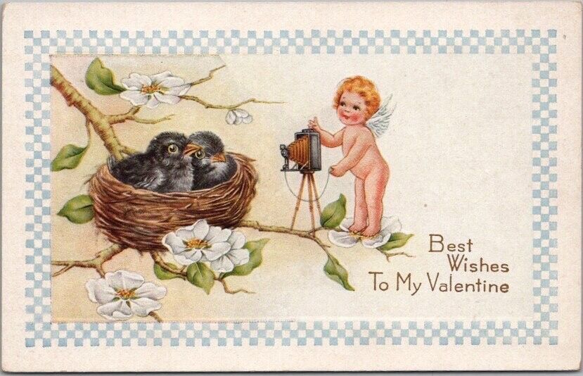 c1910s VALENTINE'S DAY Postcard Naked Angel with CAMERA / Baby Crows in Nest