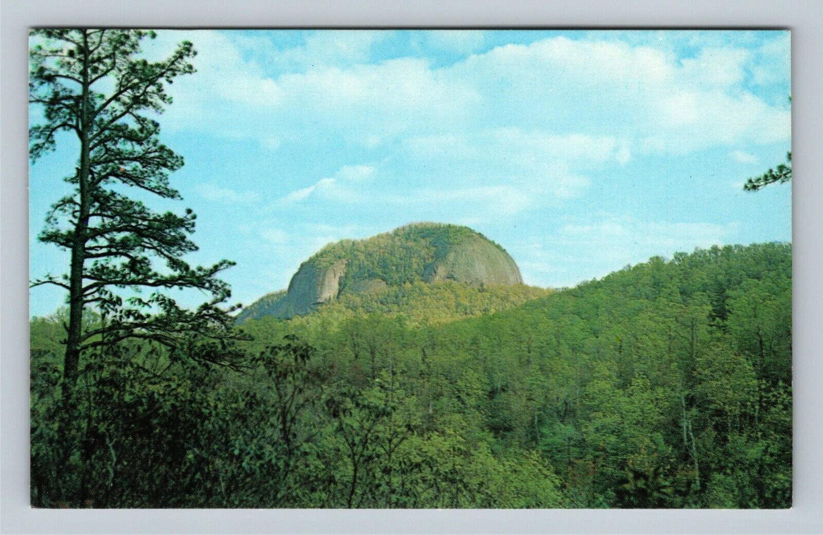 Appalachian Mt. Pisgah Forest Looking Glass Rock Vintage North Carolina Postcard