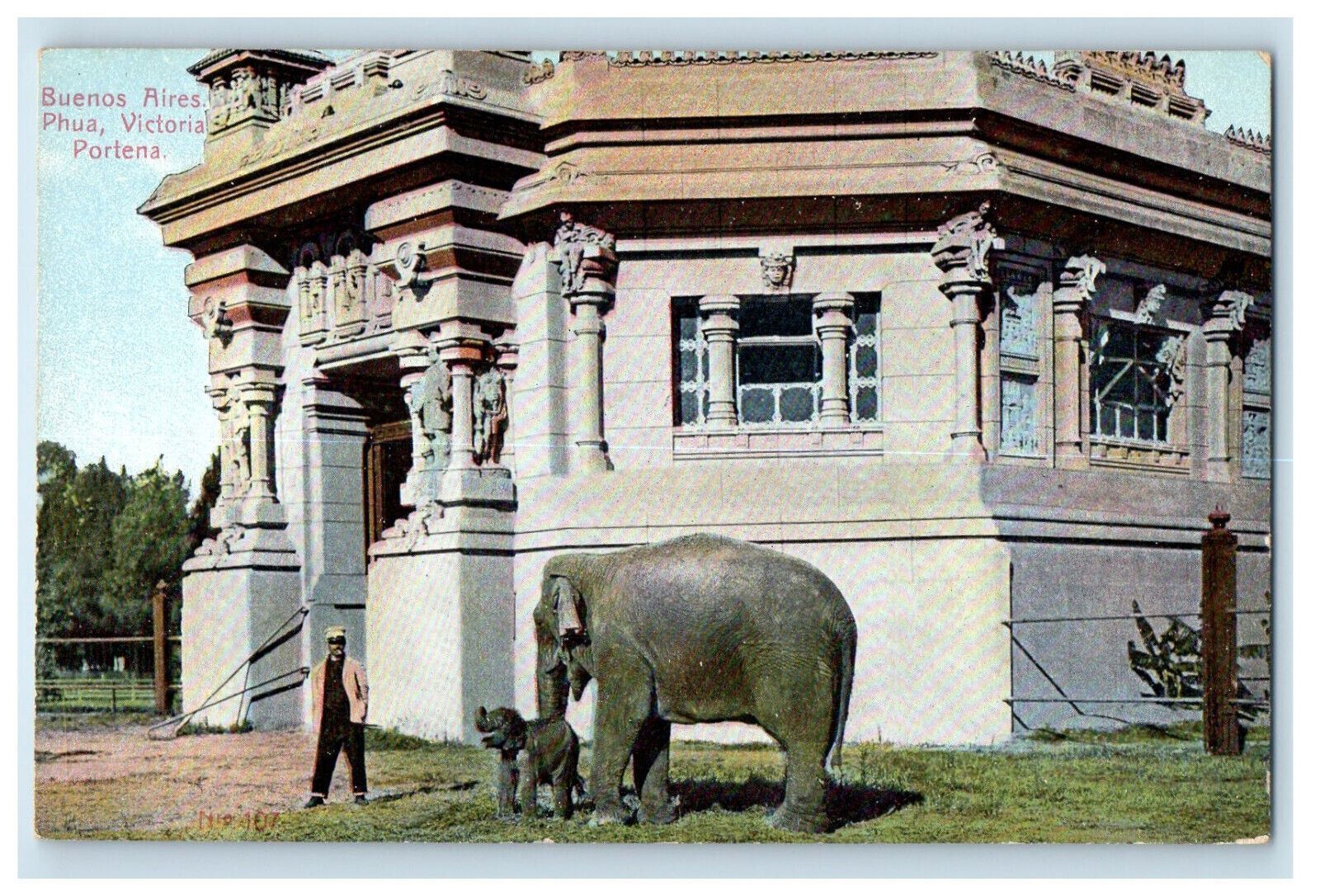 c1910s Elephant Scene Buenos Aires Phua Victoria Portena Argentina Postcard