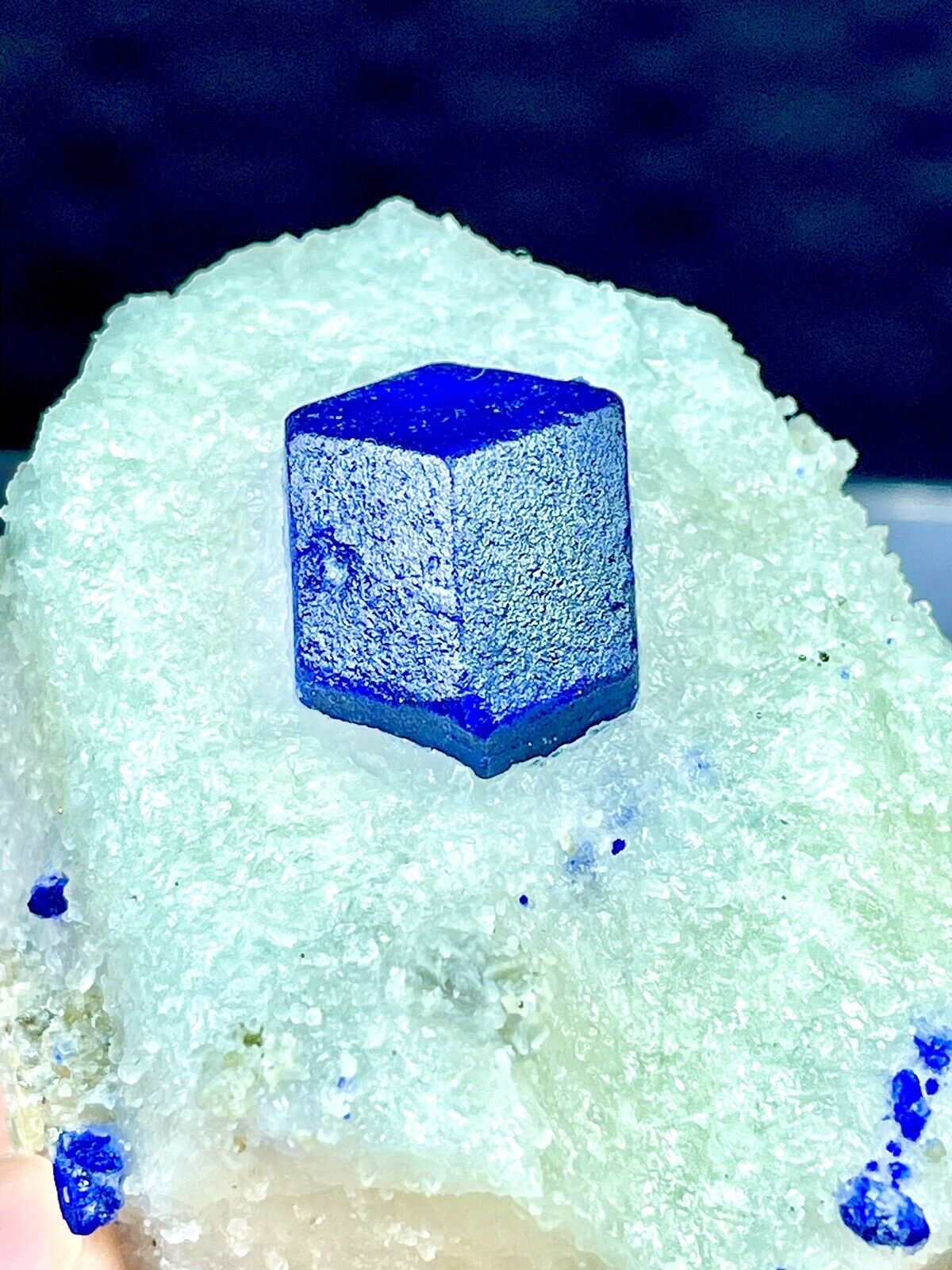 1125 CTS Beautiful Well Terminated Lazurite Crystal On Matrix Specimen , @AFG