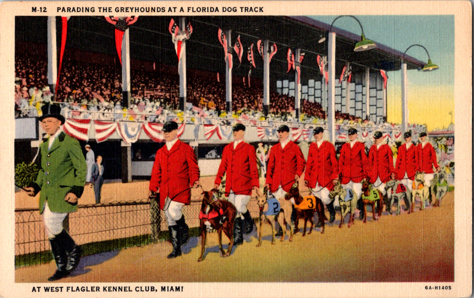Vintage 1940s Greyhounds Dog Track West Flagler Kennel Club Florida FL Postcard 
