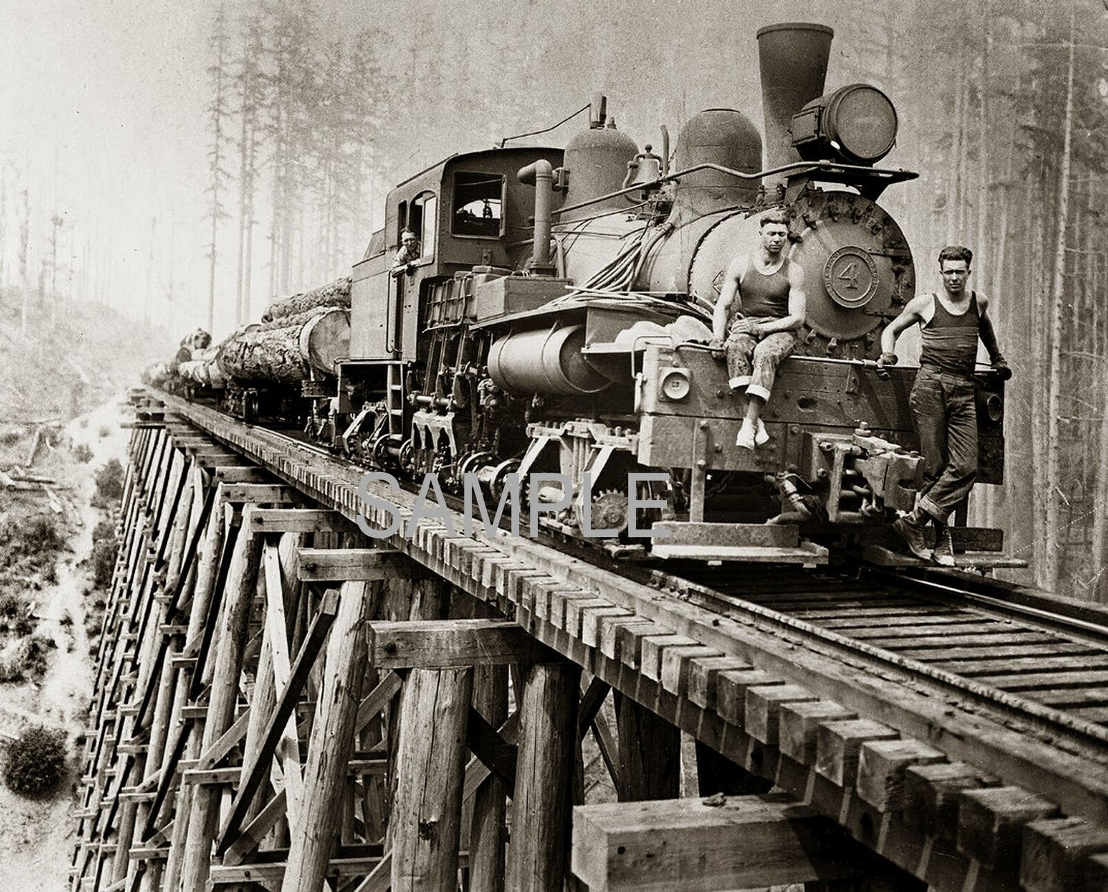1930s Clark & Wilson Lumber Co TRAIN ON TRESTLE Oregon  Photo  (231-M)