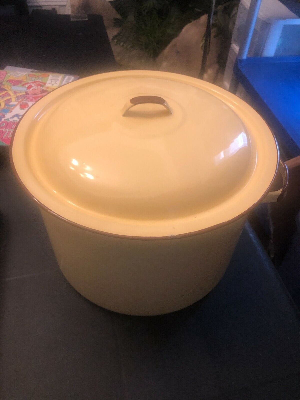 Vintage Enamel Yellow cookware Pot 11 inch with top enamelware