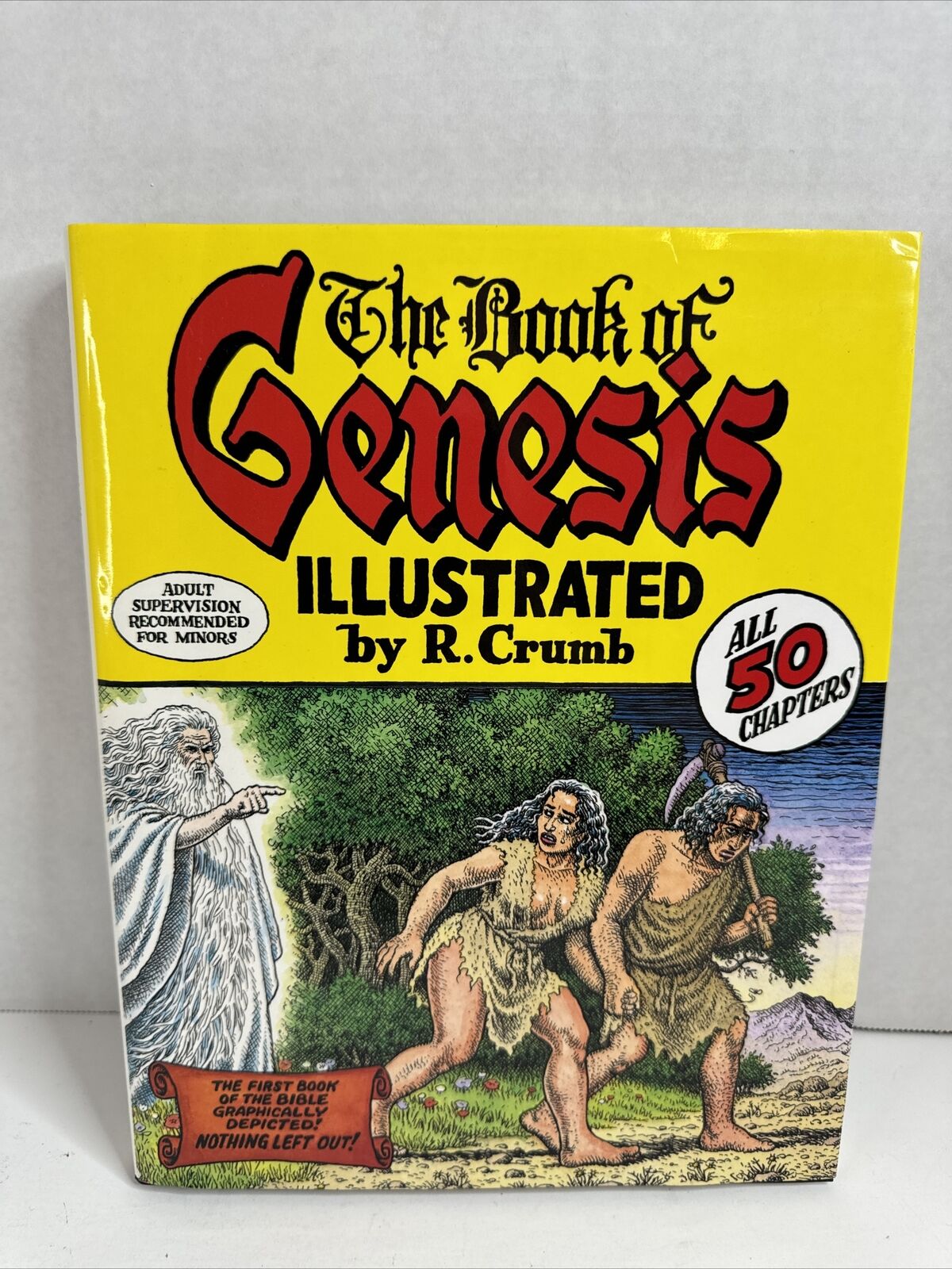 THE BOOK OF GENESIS ILLUSTRATED R. CRUMB 1st ED HC Book
