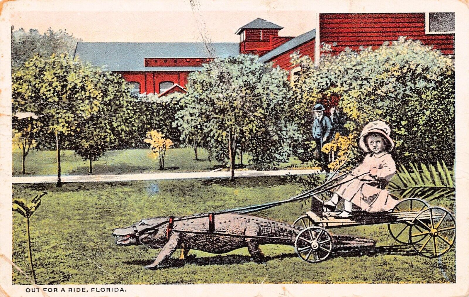 Daytona FL Florida Alligator Farm Ride Amusement Park c1917 Vtg Postcard D45