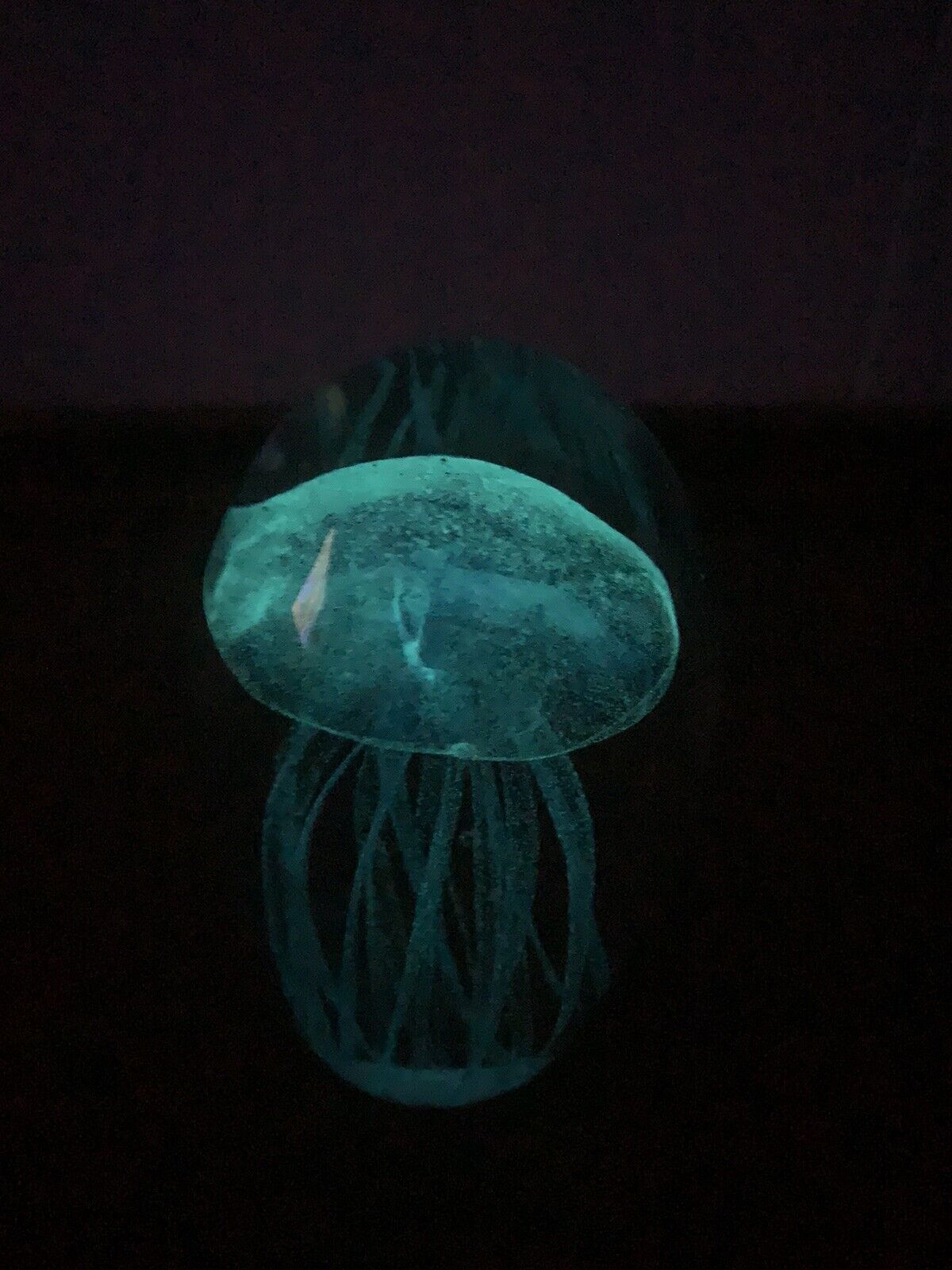 Dynasty Gallery 6.25” Glow in the Dark Blue Teal Jellyfish Art Glass Paperweight