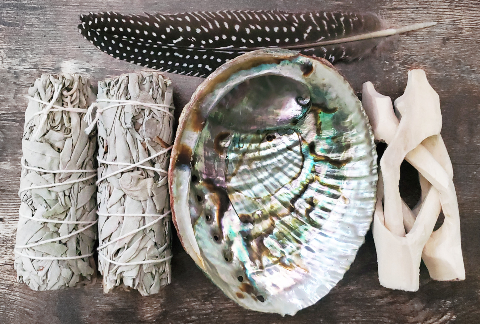 5 Pack White Sage Bundle WIth Large Abalone Shell & Stand Feather Smudging Kit