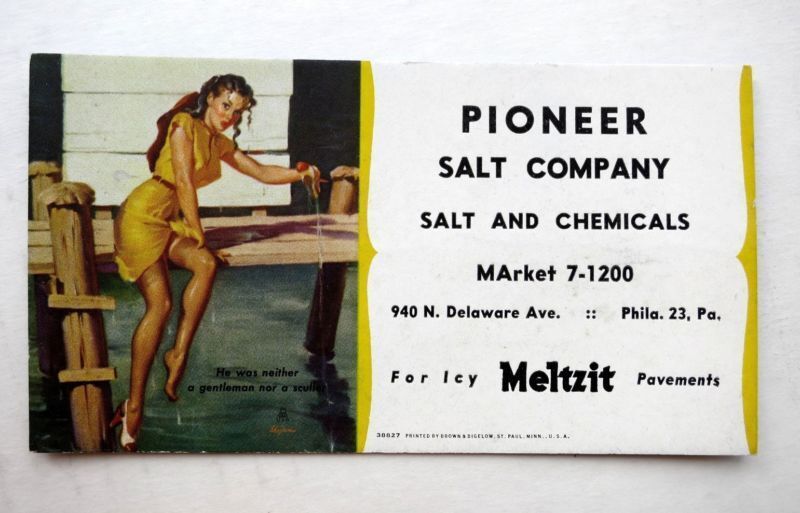 Vintage Elvgren Pinup Girl Picture Blotter Sexy Water Soaked Brunette Fell