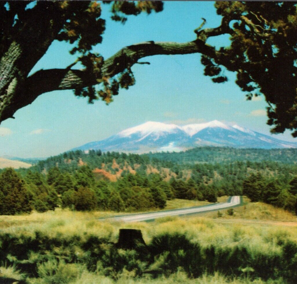 I-40 between Flagstaff & Williams, San Francisco Peaks, Arizona Vintage Postcard
