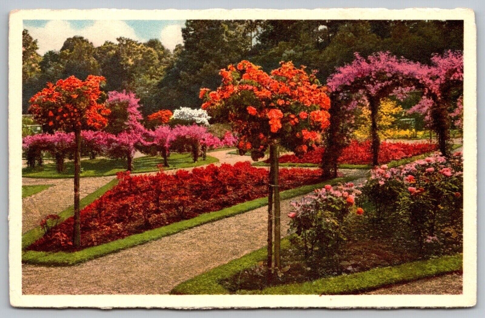 Walled Garden Biltmore House Estate North Carolina Flowers Arch VNG UNP Postcard