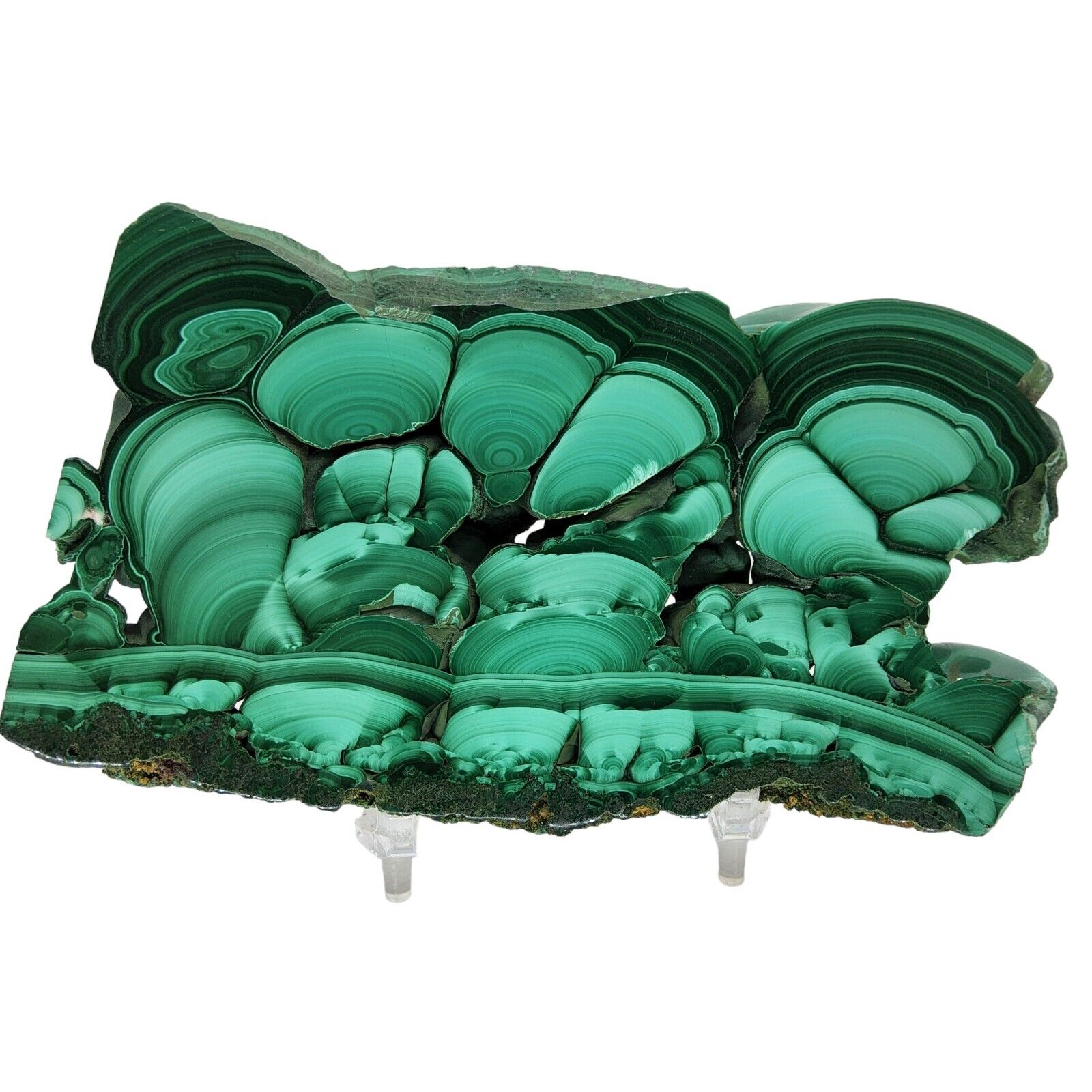 Malachite, polished, slab, specimen, display, mineral, green, #R-6138