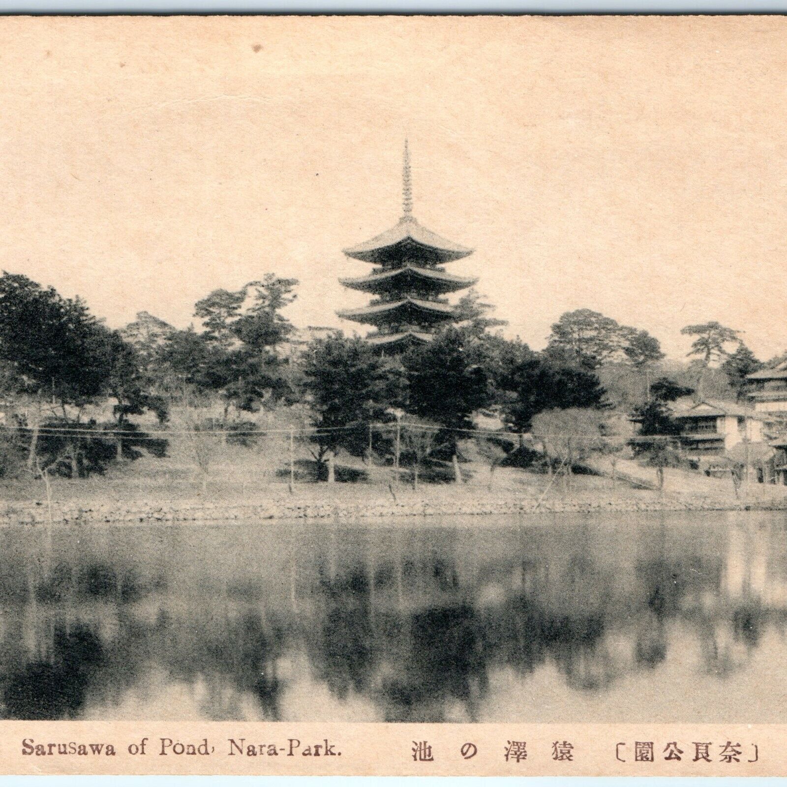 c1910s Nara, Japan Sarusawa of Pond Kofuku-ji Temple Pagoda Collotype Pic PC A56