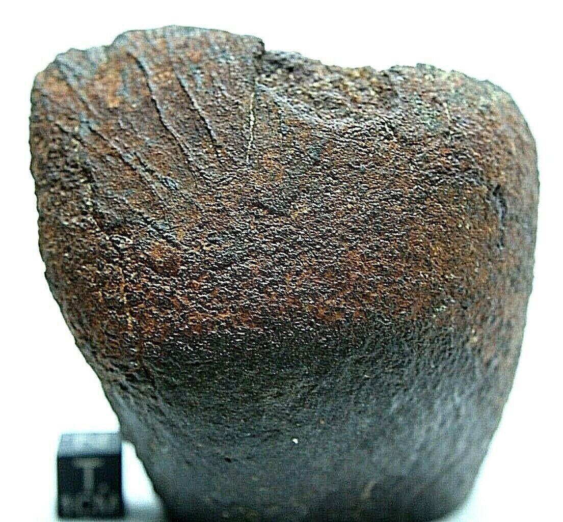 NWA XXX Meteorite ~ 451 grams*** Nicely shaped outer space meteorite