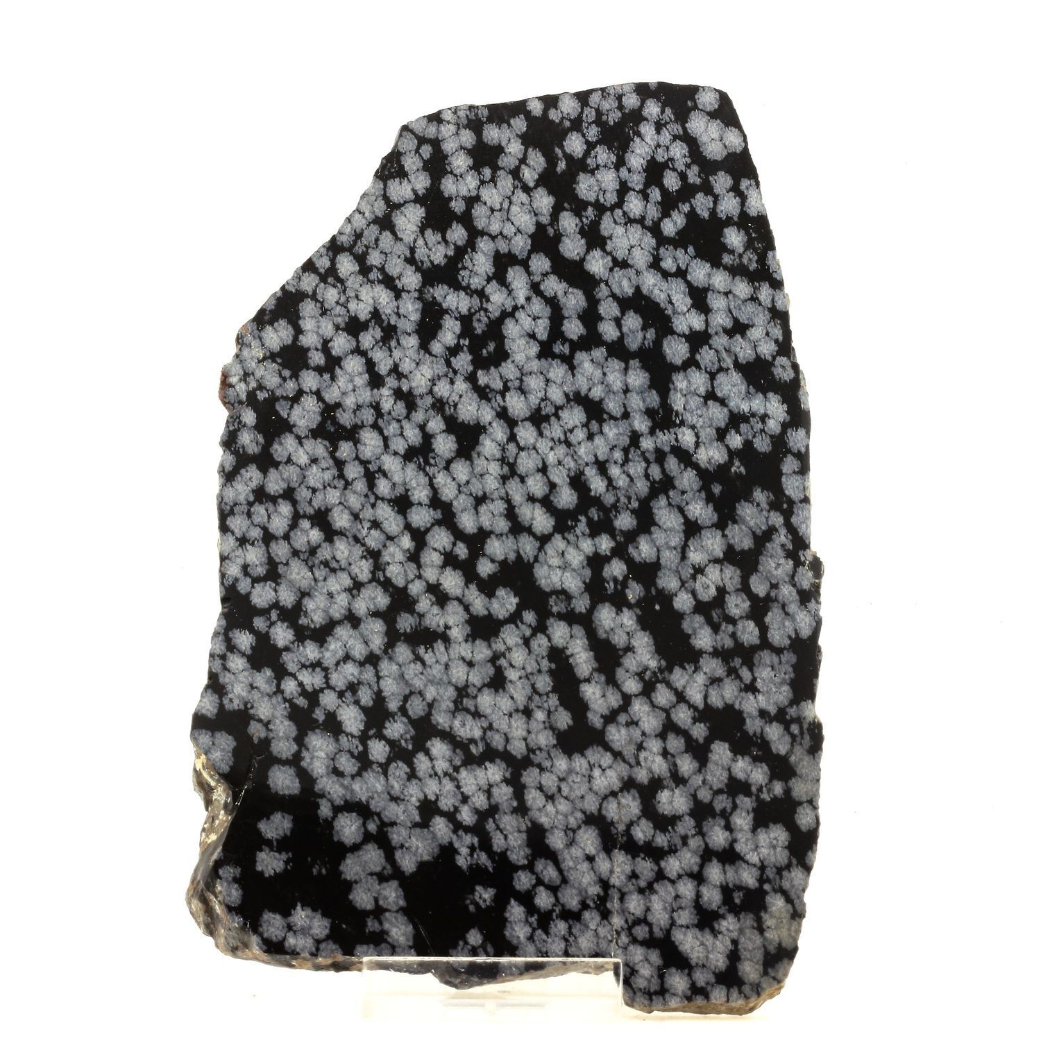 Snowflake Obsidian + Cristobalite. 1125.5 ct. Black Spring, Utah, USA.